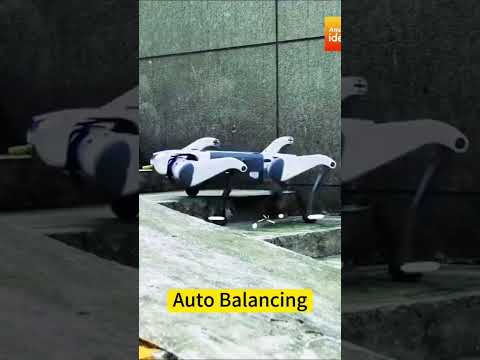 The Future of Robotics: New Tech Innovations!