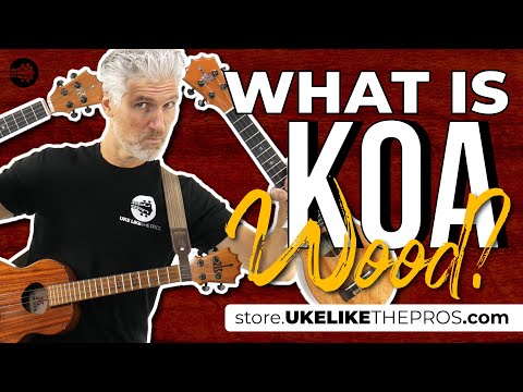 Do you know What Is a Koa wood ukulele? Is this the right uke for you? FIND OUT!